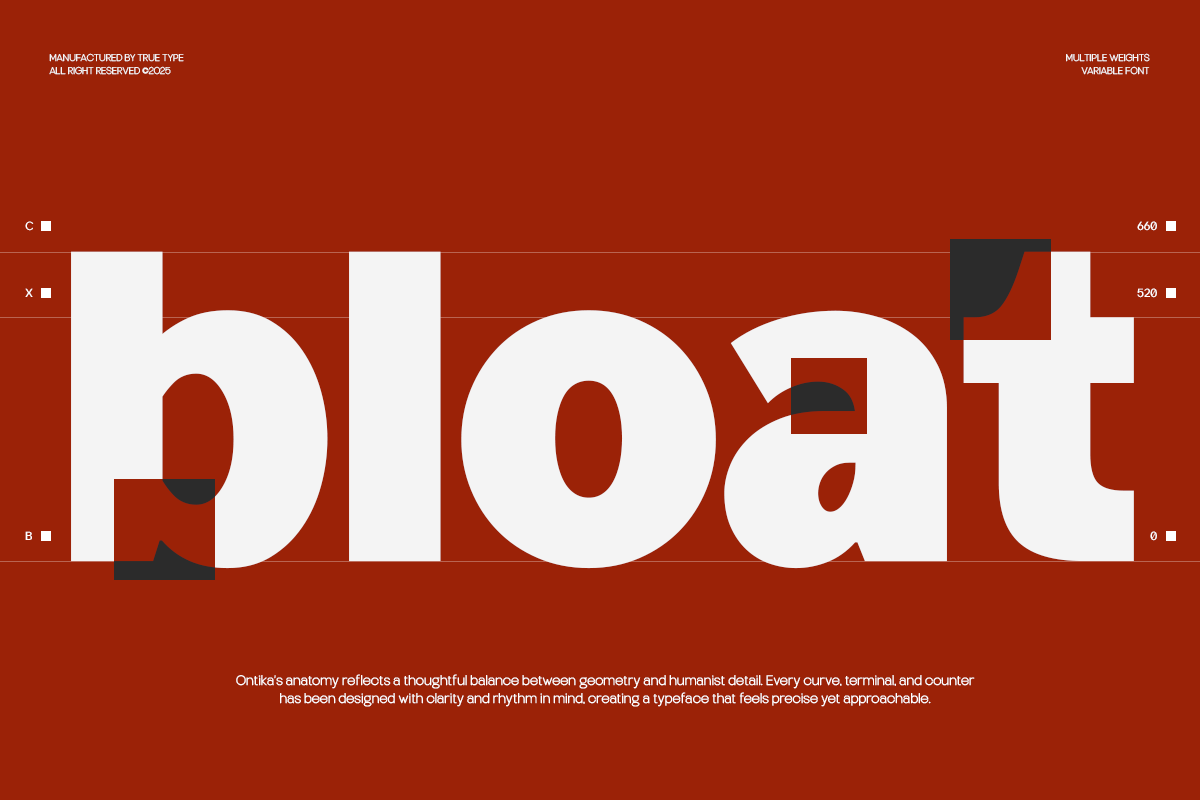 TRT Ontika Variable Sans Serif, a Sans Serif Font by truetype (Photo 11 of 15)