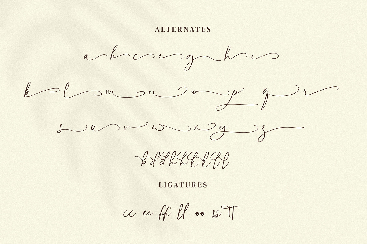 Bellanche, a Script Font by Goresan Studio (Photo 12 of 15)