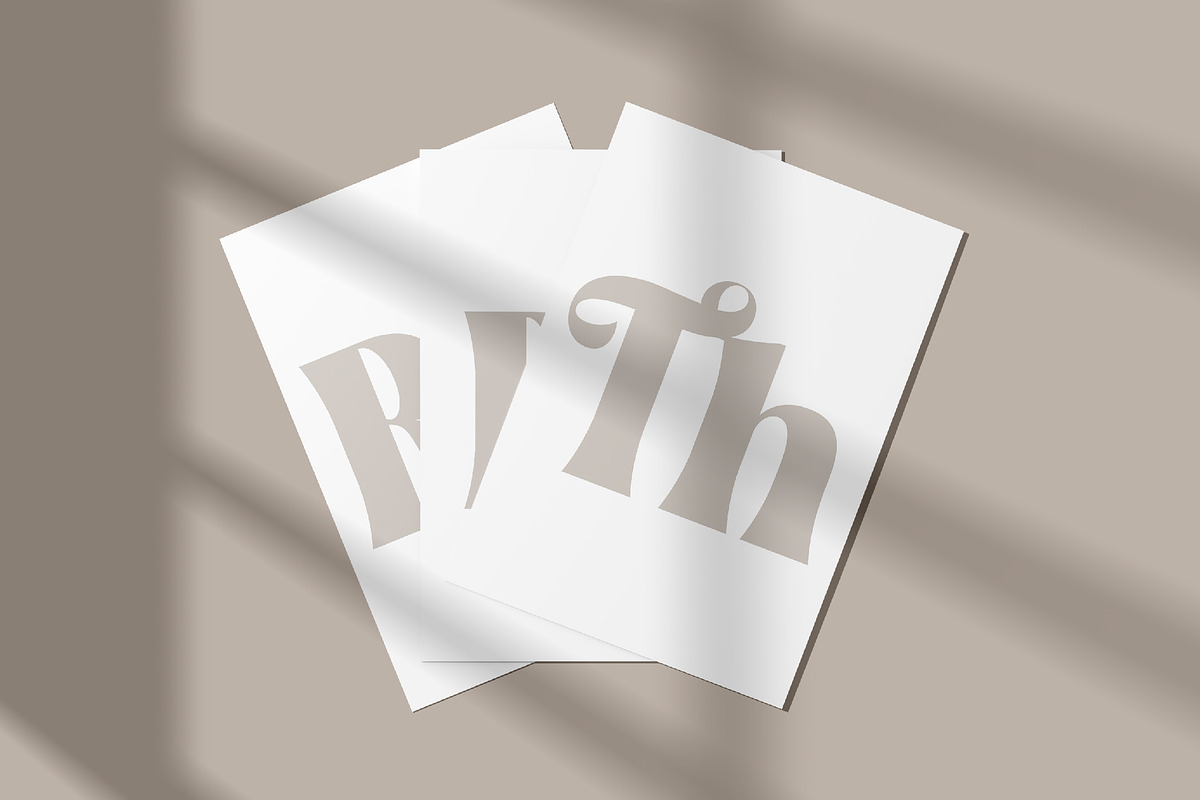 Megiska Modern and Stylish Serif, a Serif Font by Storytype Studio (Photo 10 of 15)