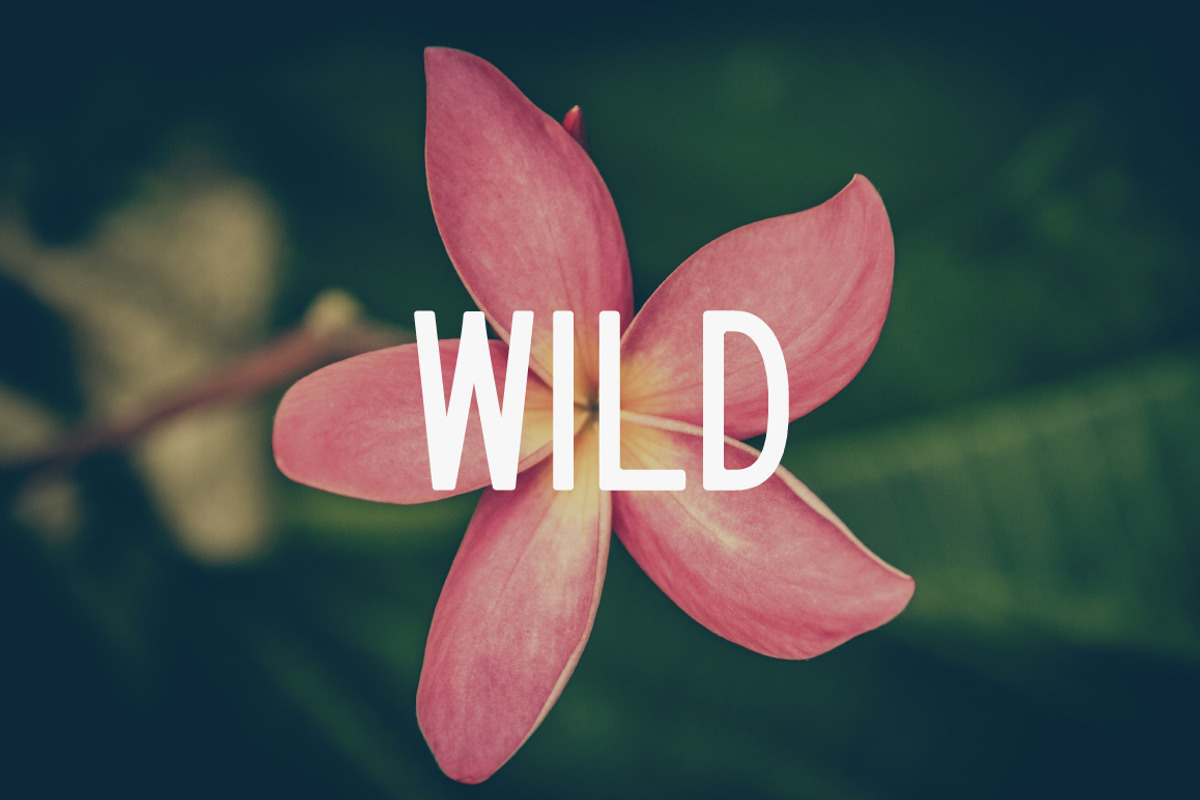 Troubadour | A Stylish Sans Serif, a Sans Serif Font by Josh O. (Photo 7 of 8)