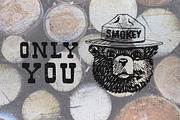 Hickory - Slab, a Serif Font by Woodcrest Design Co. (Thumbnail 3 of 3)