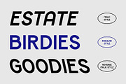 CS Nestor – Contemporary Font, a Sans Serif Font by Craft Supply Co. (Thumbnail 2 of 8)