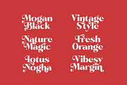 Pramid Mango Modern Display Serif, a Serif Font by timelesstype.co (Thumbnail 13 of 20)