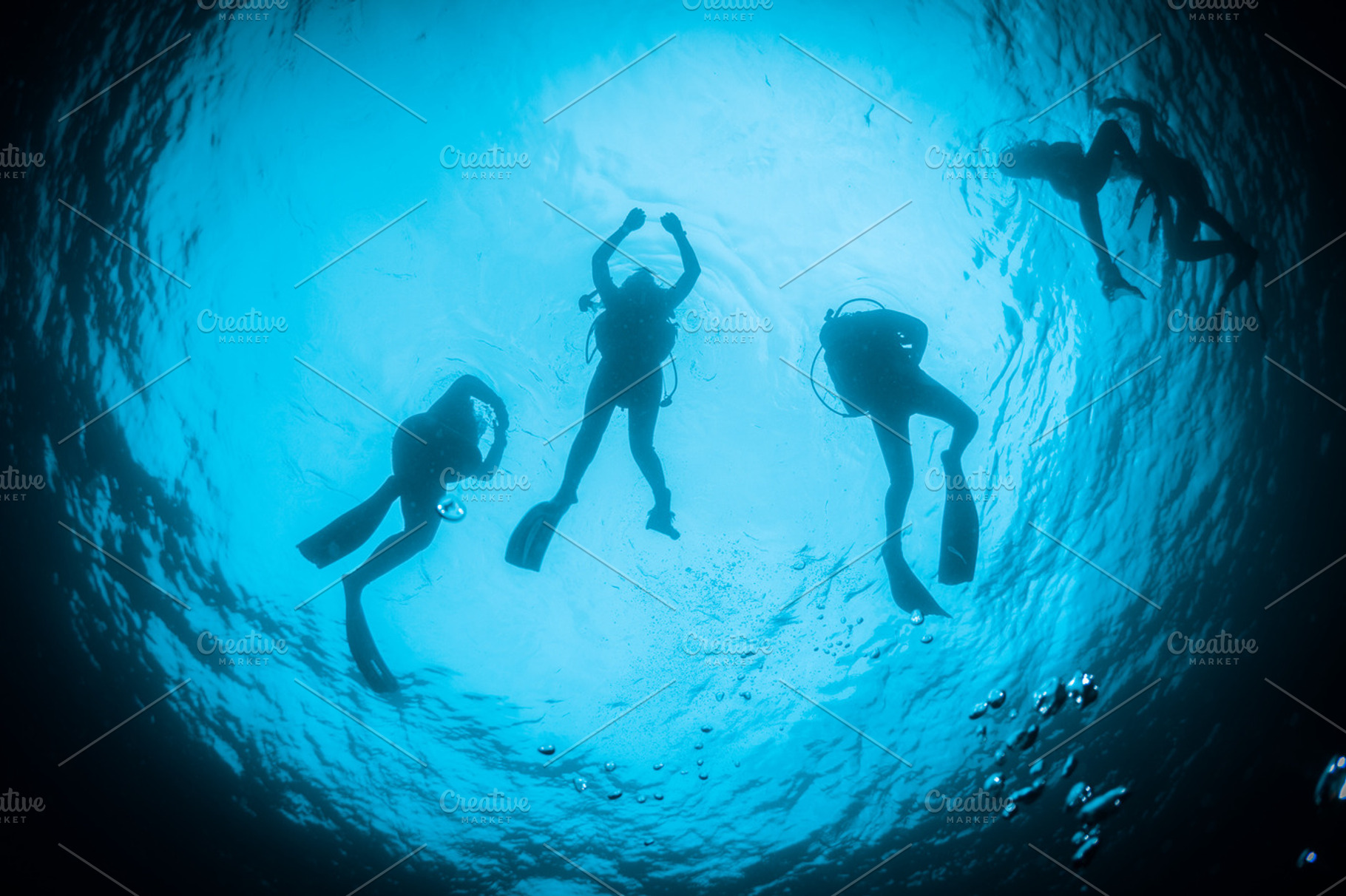 Divers in the blue featuring divers, underwater, and snell window, a Nature Photo by atussub