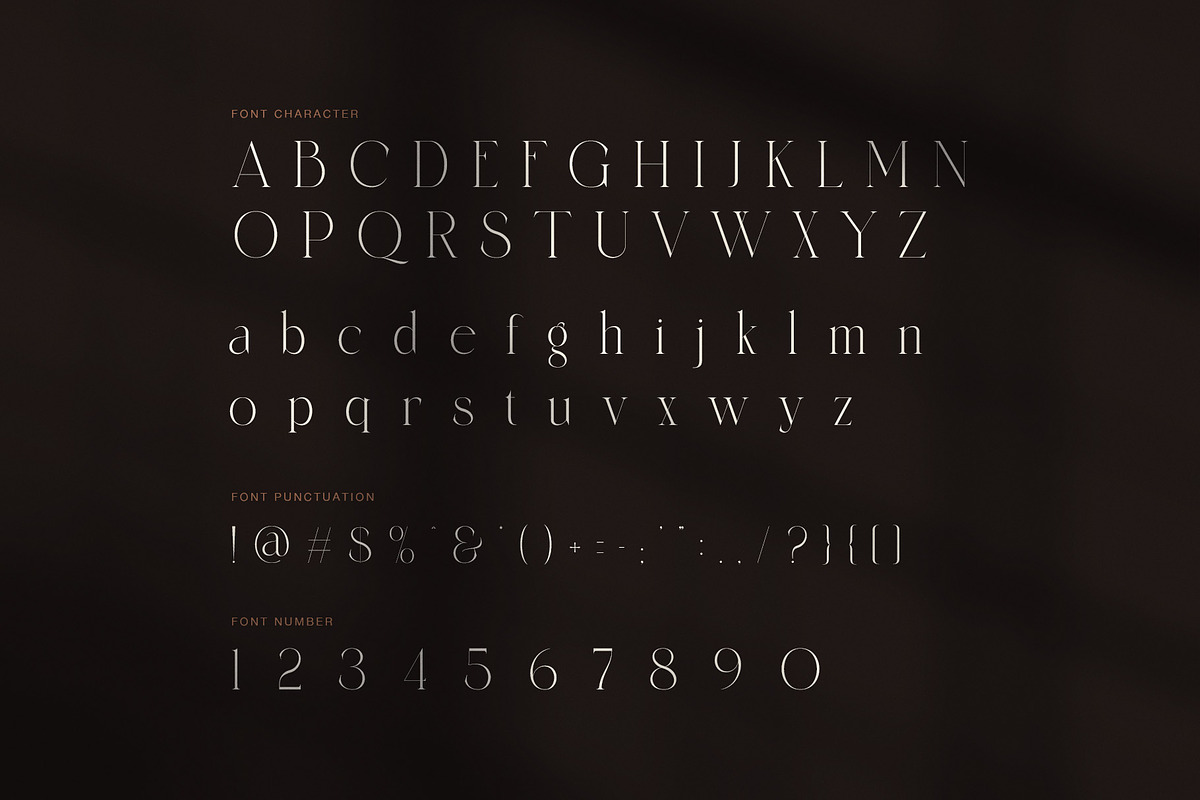 Sandis Elegant Serif Font, a Serif Font by Perfectype (Photo 7 of 8)
