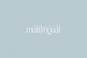 SUNLINE - Condensed & Elegant Serif, a Serif Font by Misha Sova (Thumbnail 8 of 8)