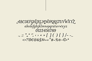 Cafeline Atelier Font, a Serif Font by gafaroff studio (Thumbnail 6 of 6)
