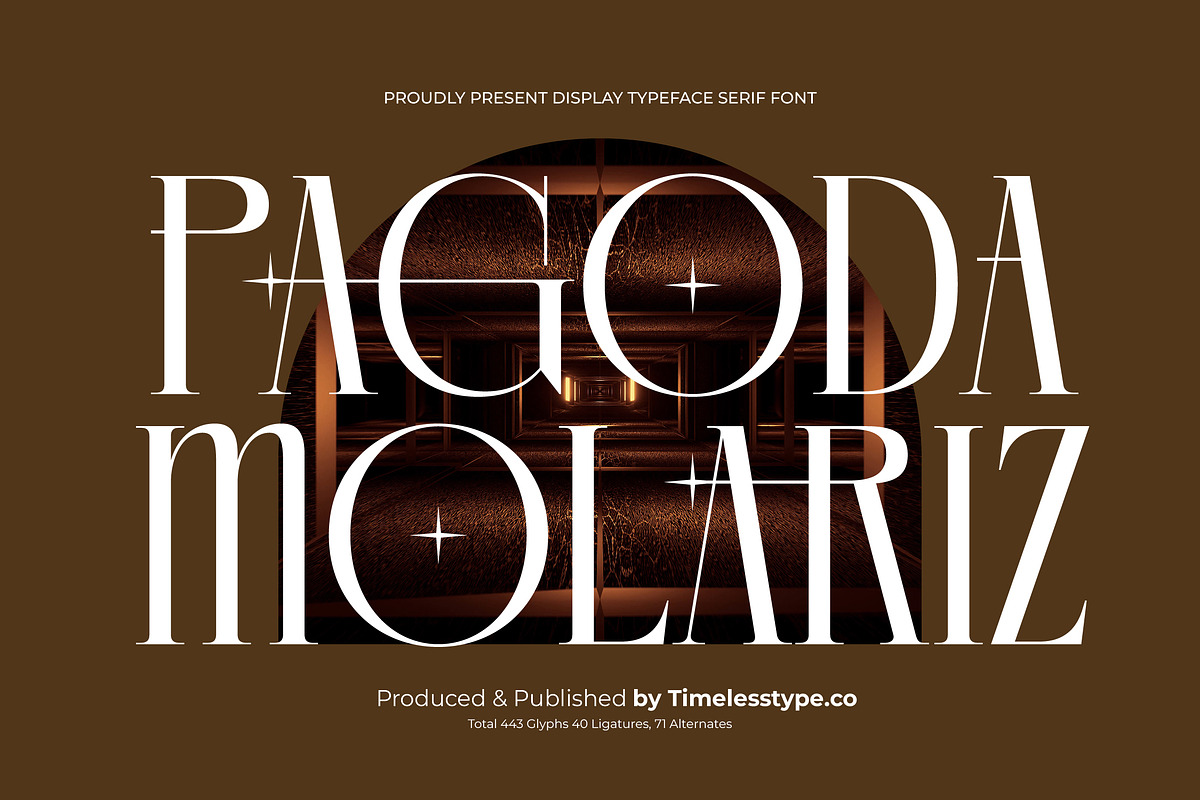 Lagona Display Typeface Serif Font, a Serif Font by timelesstype.co (Photo 3 of 20)