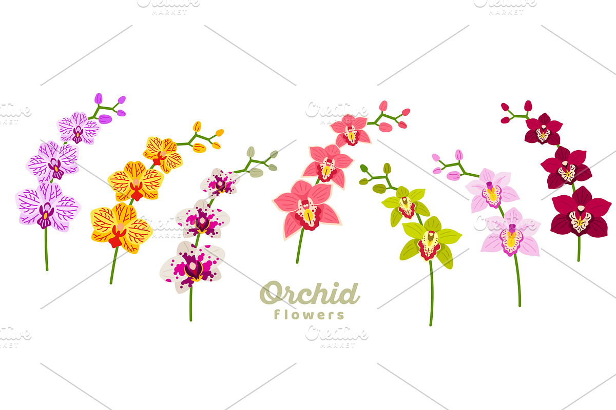 Orchid flower stem icon set, an Object Illustration by kotoffei