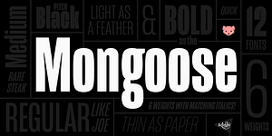 Mongoose