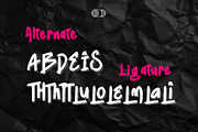 Broex Stray - Graffiti Brush Font, a Handwritten Font by Dhabee (Thumbnail 6 of 12)