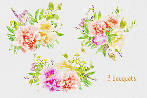 Watercolor Flowers - Peonies