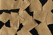 Distressed Cardboard Textures, a Texture Graphic by Meglenov (Thumbnail 13 of 16)