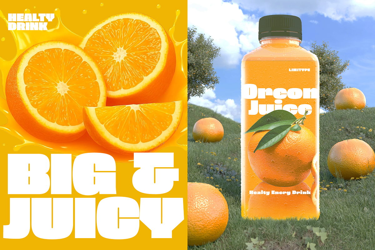 Oreon - Bold Font, a Sans Serif Font by limitype (Photo 6 of 15)