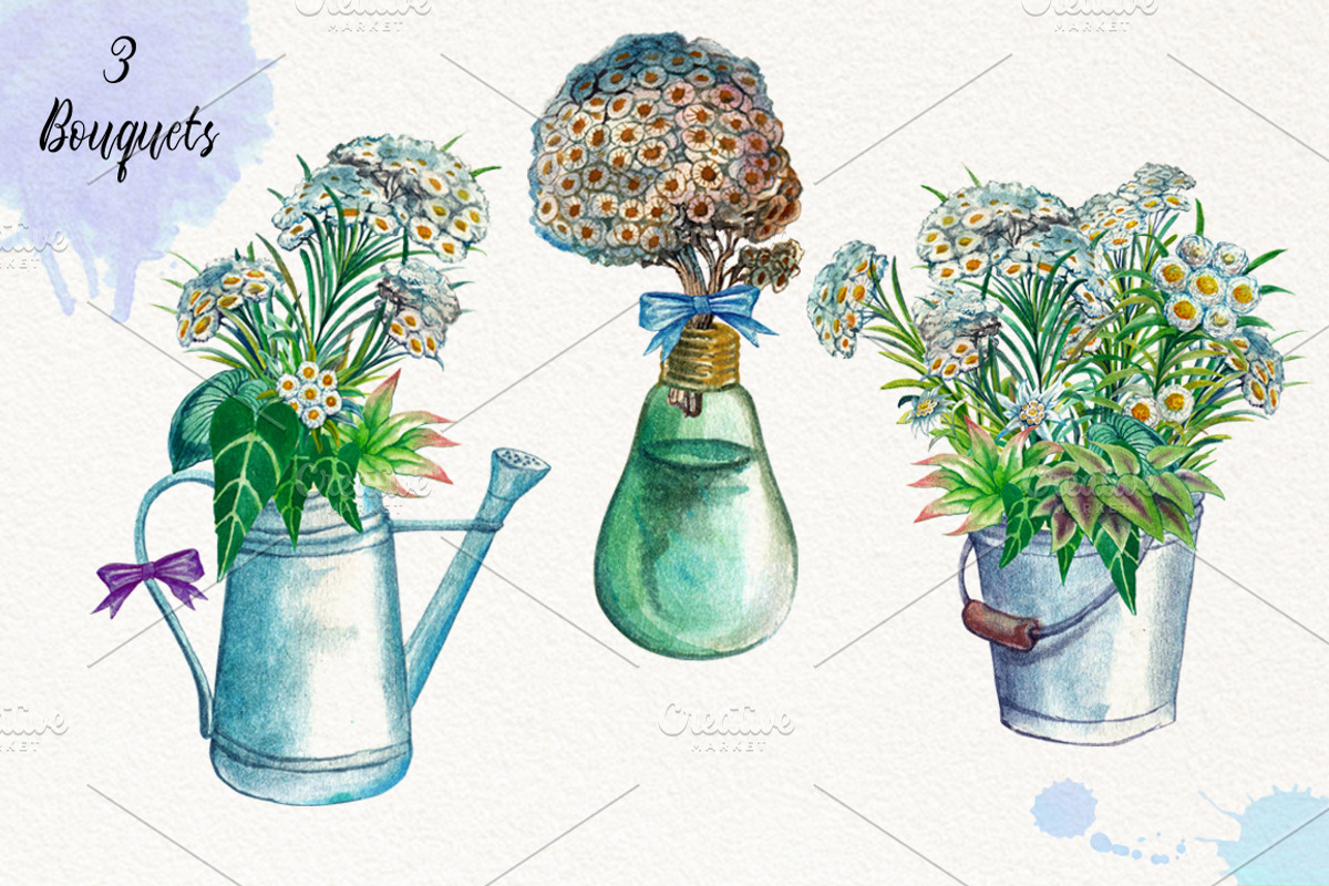 Watercolor Edelweiss, a Decorative Illustration by Graphobia (Photo 3 of 8)