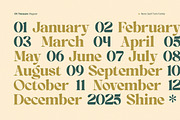 OV Treasure Retro Serif Font Family, a Serif Font by OV Type (Thumbnail 4 of 21)