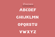 Partner | Serif, a Serif Font by Naqsya.Co (Thumbnail 7 of 8)