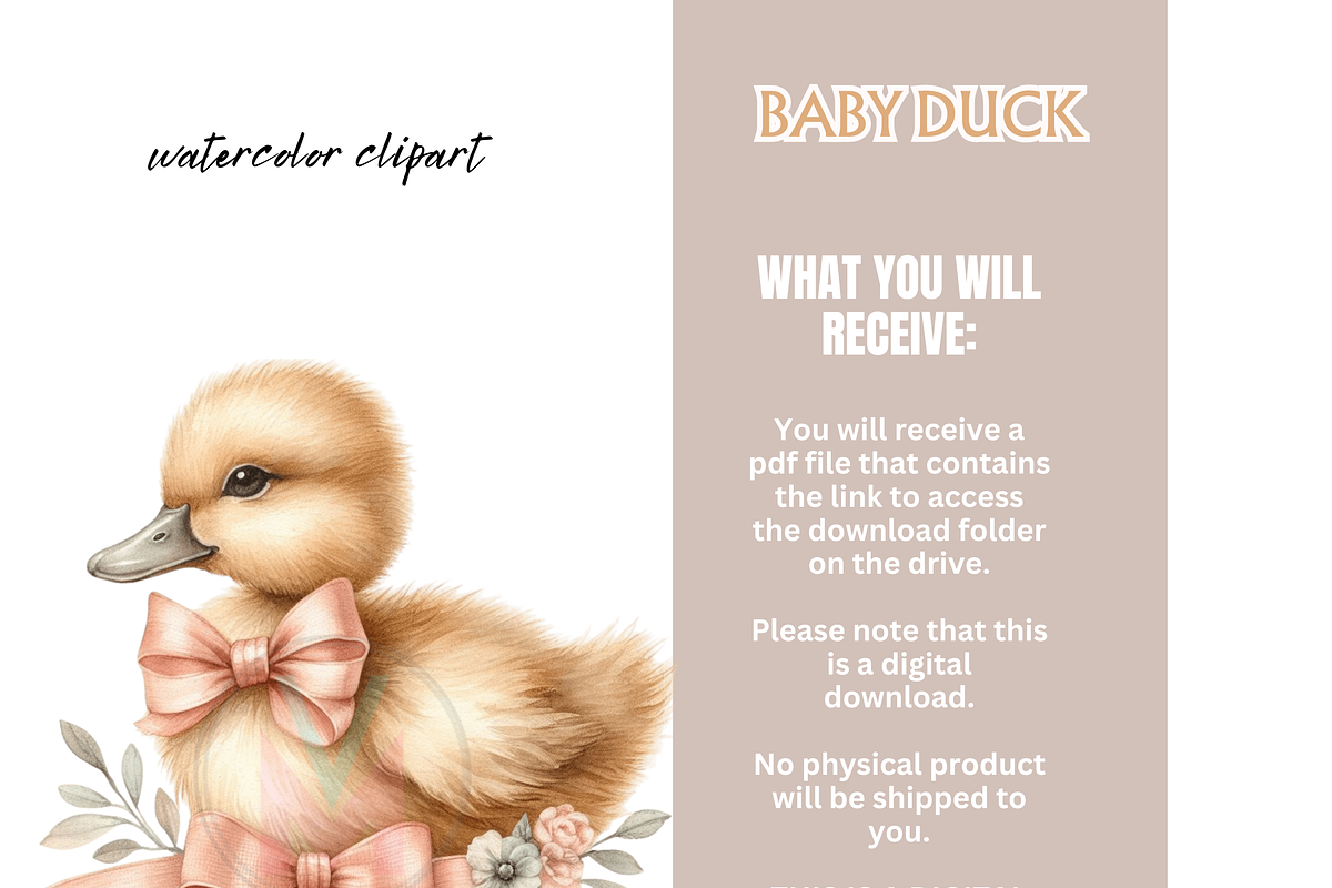 Watercolor Baby Duck ClipArt PNG, an Animal Illustration by VM PARTYS  BY TAIRUMA (Photo 7 of 10)