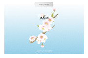 Sakura | Cherry Blossom Florals, an Illustration by January Bloom (Thumbnail 4 of 11)