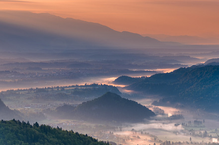 Beautiful bled lake at sunrise light featuring misty, field, and foggy, a Nature Photo by Dreamy Pixel