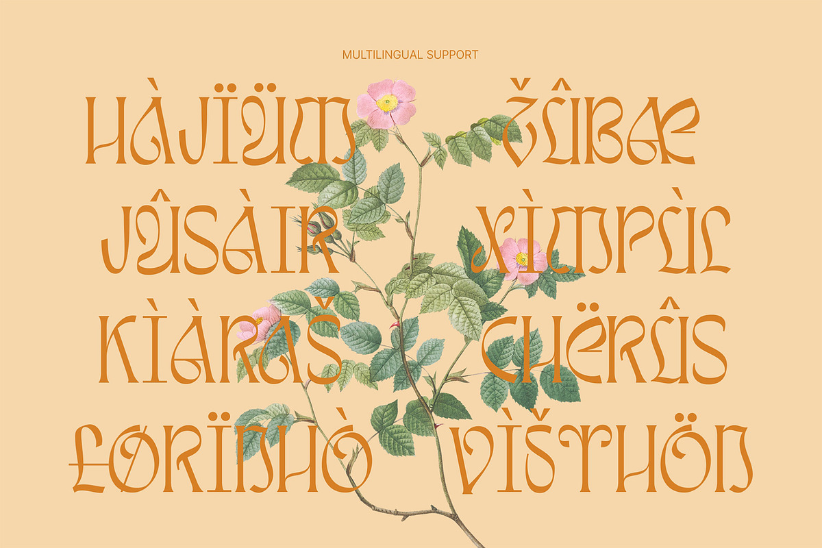 Awsirnam - Aesthetic Serif Font, a Serif Font by Enxyclo Studio (Photo 29 of 29)