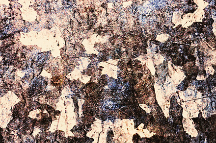 Distressed Metal Plate, a Background Photo by Benjaminlion
