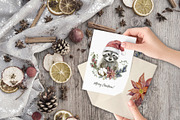 Forest Animals. Character Creator., an Animal Illustration by Designwork (Thumbnail 6 of 21)