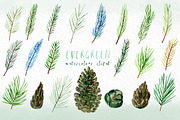 Pine. Watercolor clipart, an Illustration by LABFcreations (Thumbnail 5 of 9)