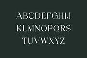 Blockstone Modern Display Serif Font, a Serif Font by UICreative (Thumbnail 2 of 13)