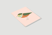 Common-Ringed Plover, an Illustration by Goodputty (Thumbnail 5 of 6)
