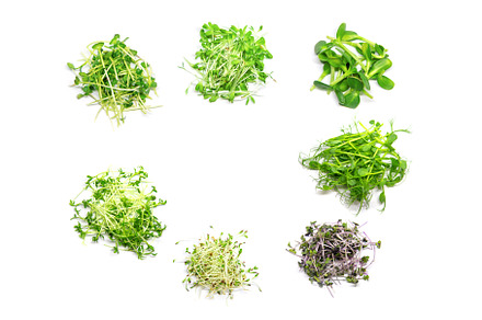 Collage of different microgreens on, a Food & Drink Photo by yanadjana