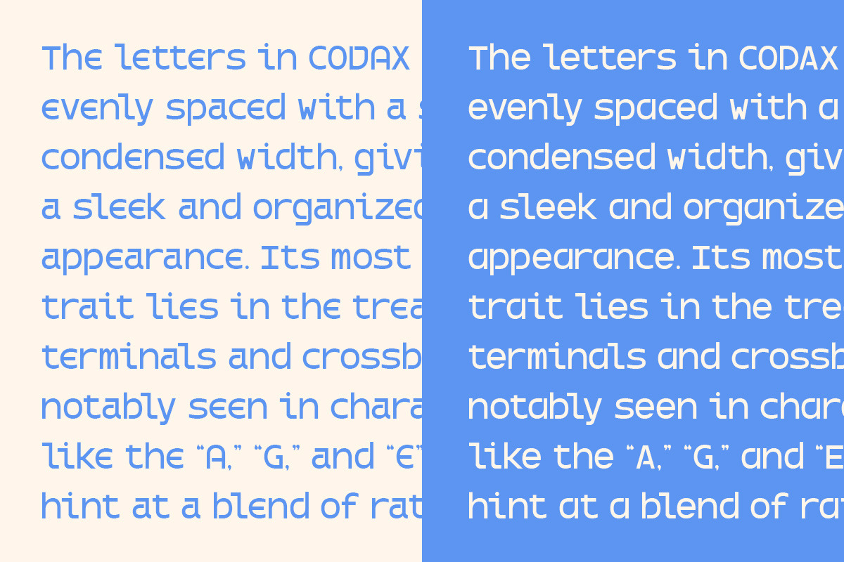 Codax Corporate Minimal Modern Font, a Sans Serif Font by roomspace creative lab (Photo 6 of 10)