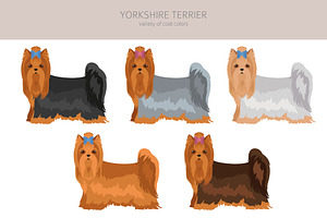 Yorkshire Terrier Clipart