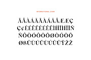 Xander Swordfish Ligature Serif Font, a Serif Font by UICreative (Thumbnail 7 of 13)