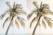10 Cream Blogger Lightroom Presets, a Preset Add-On by LucaTheme (Thumbnail 9 of 9)
