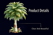 Watercolor Palm Tree PNG Clipart, a Seasonal Illustration by RobertsArt (Thumbnail 5 of 7)