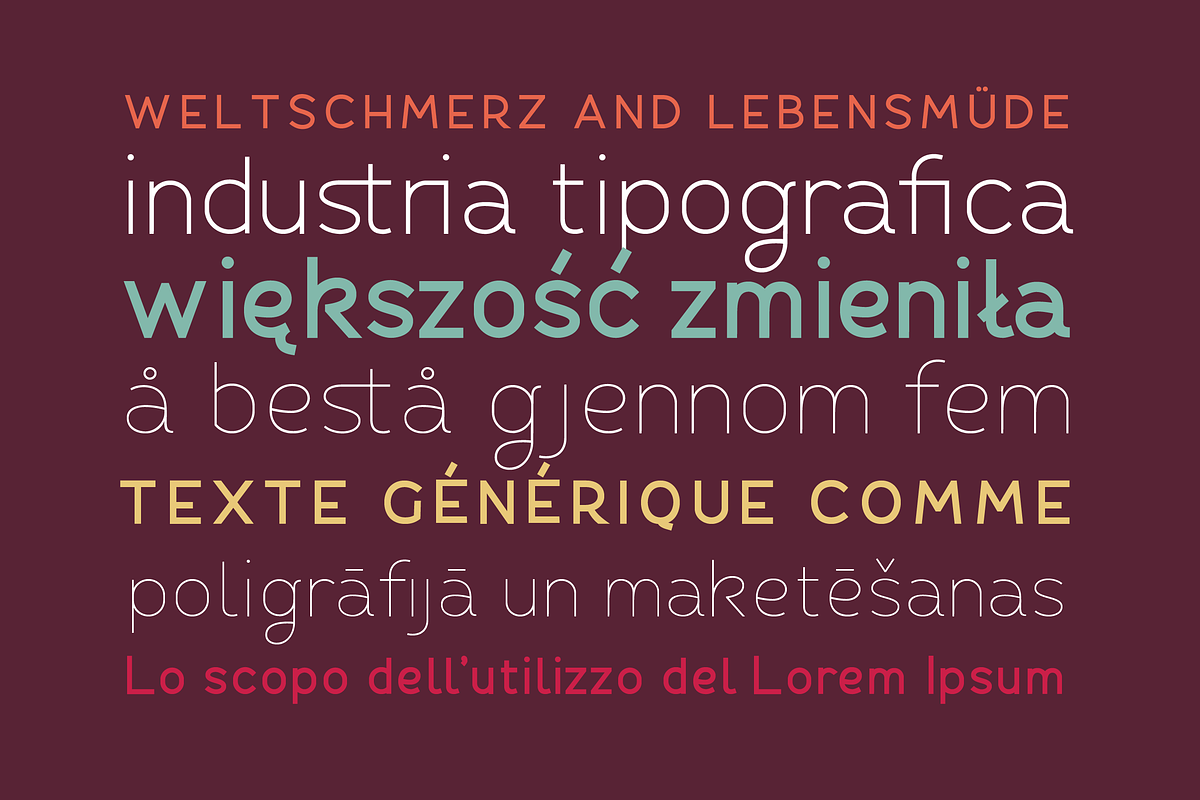 Fibon Sans Font Family preview 4