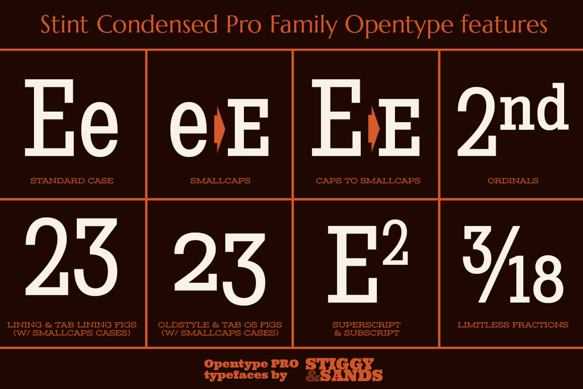 Stint Condensed Pro Family preview 4