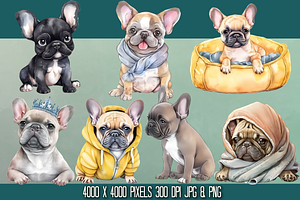 French Bulldog Watercolor Clipart