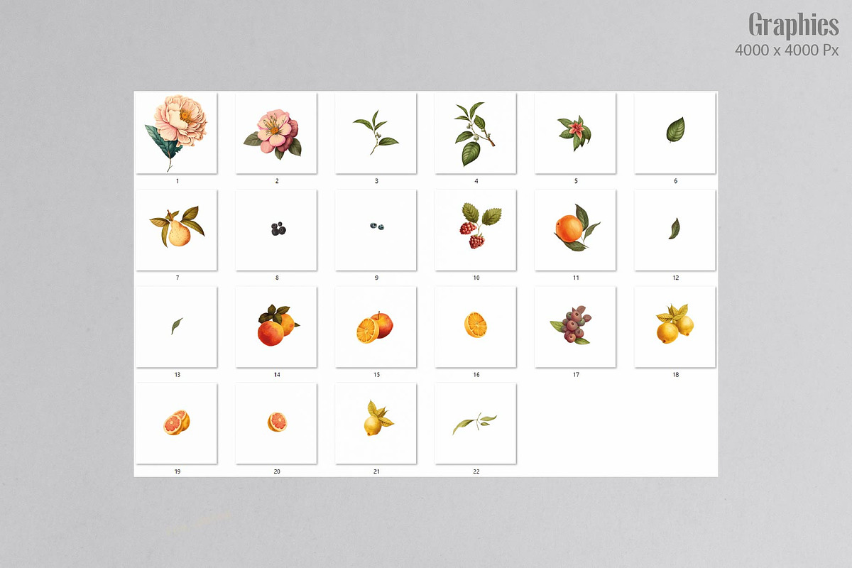 Floral Pattern & Botanicals, a Pattern Graphic by NatalieArtsDenysenko (Photo 4 of 9)