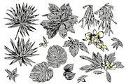 TROPIC set 2, a Decorative Illustration by Tanya Akhmett (Thumbnail 2 of 10)