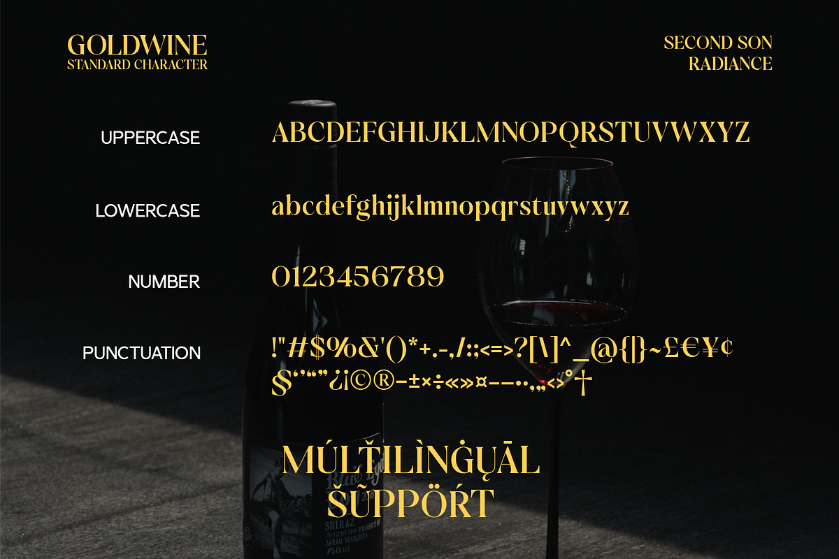 SS Goldwine - Classy Elegant Serif, a Serif Font by Typocracy Studio (Photo 12 of 12)