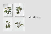 Mongnyeon, Luxury Magnolia Print!, a Pattern Graphic by Pink Linen (Thumbnail 5 of 10)