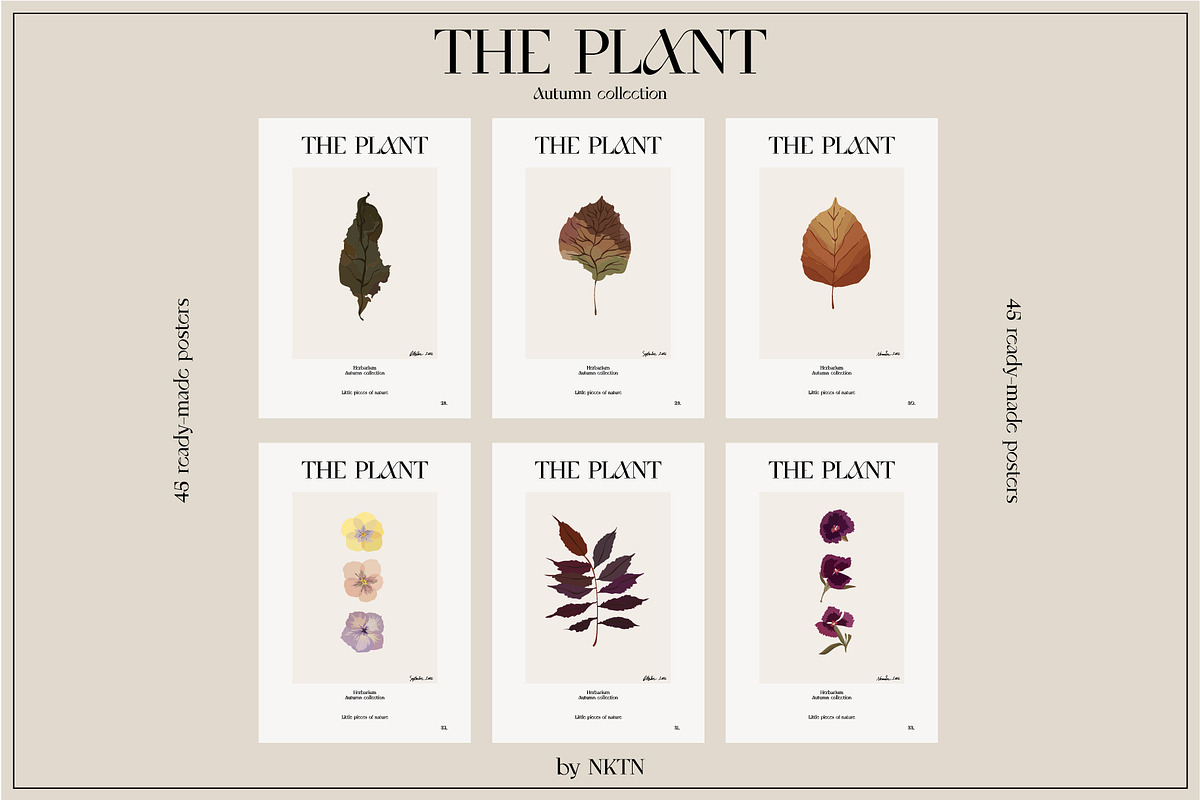The PLANT. Autumn collection, a Pattern Graphic by NKTN (Photo 16 of 18)
