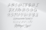 Gasthony - Signature Font, a Script Font by Sronstudio (Thumbnail 11 of 12)