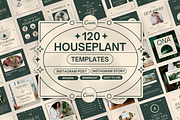 120 Houseplant Instagram Template, a Social Media Template by Branding Victory STD (Thumbnail 1 of 10)