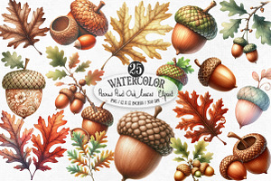 Watercolor Acorns & Oak Leaves PNG, an Illustration by Designking