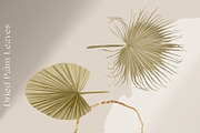 Modern Abstract Line Art & Shape Set, an Illustration by January Bloom (Thumbnail 5 of 18)