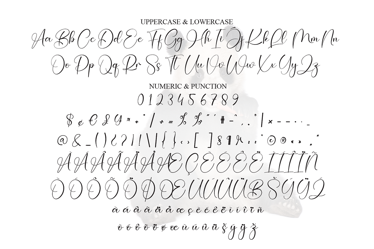 Panda | Script Font, a Handwritten Font by Scratchones (Photo 7 of 9)