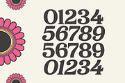 Sonttak Bold Retro Display Serif, a Serif Font by timelesstype.co (Thumbnail 8 of 15)